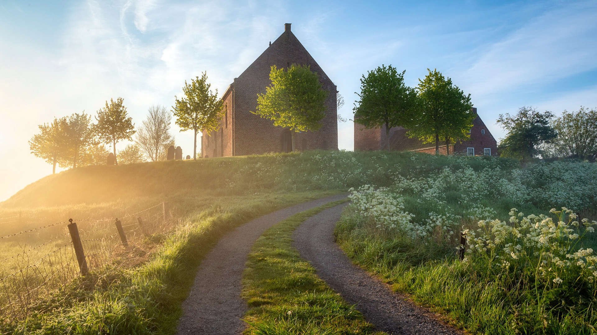 天山脚下的雪莲花，惊醒了夏洛特的蔗糖味道 记美加墨世界杯新疆队爆冷黄蜂之战