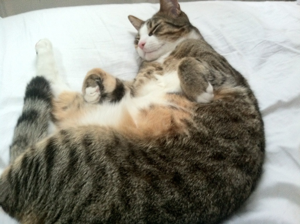 南非烈日下的无声猎杀，凯恩用错误的一步完成对利物浦的温柔肢解