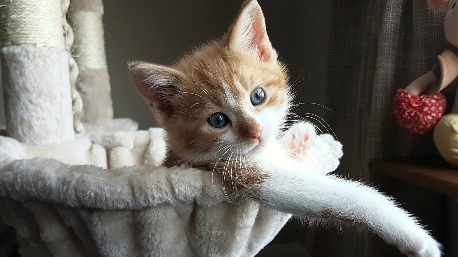 暗夜极光—芬兰加时绝杀勒沃库森，阿尔瓦雷斯从沉寂到闪耀的唯一救赎