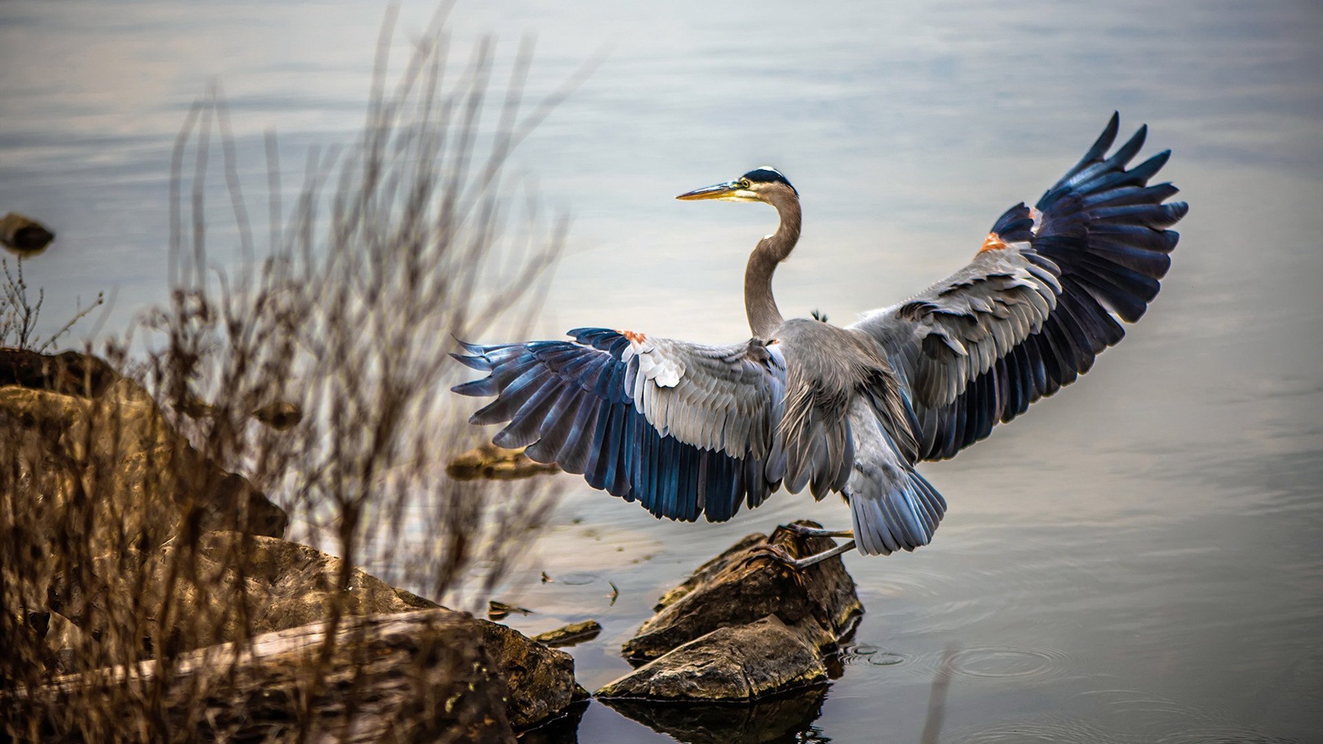 生死8分钟！哈登导演末节逆转，篮网险胜新疆震撼丝路