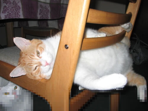 跨越疆域的荣耀，当新疆黑马遇上欧冠新王