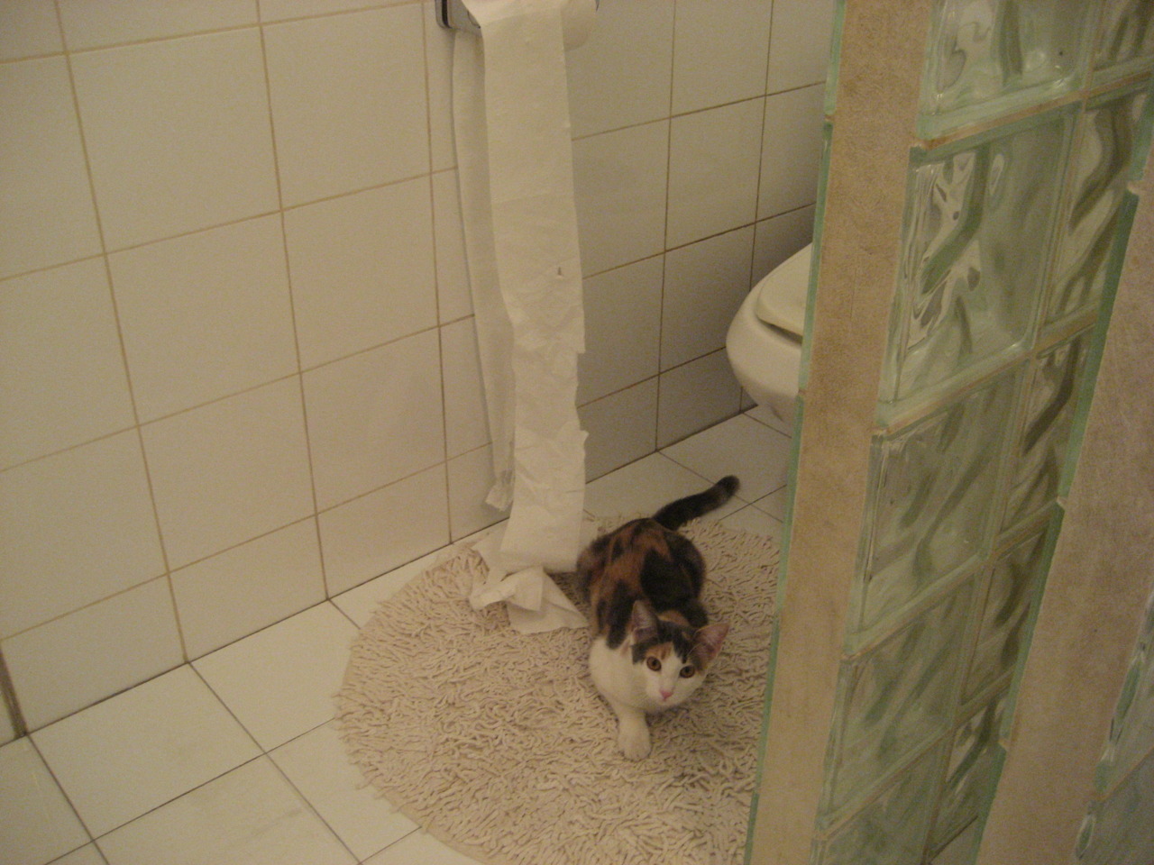 精密机械与丛林法则，当F1争冠战遇见洪都拉斯压制美国的震撼