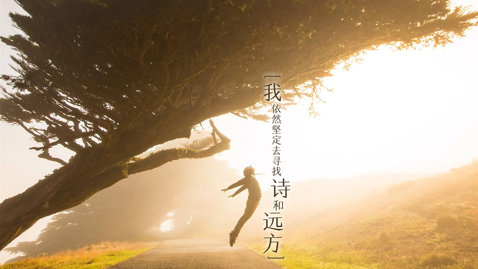 擦掉罚失点球的痕迹,楚阿梅尼的救赎之路