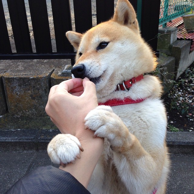 时空交错的绿茵场,当埃及法老对阵格子军团,德布劳内刷新永恒纪录