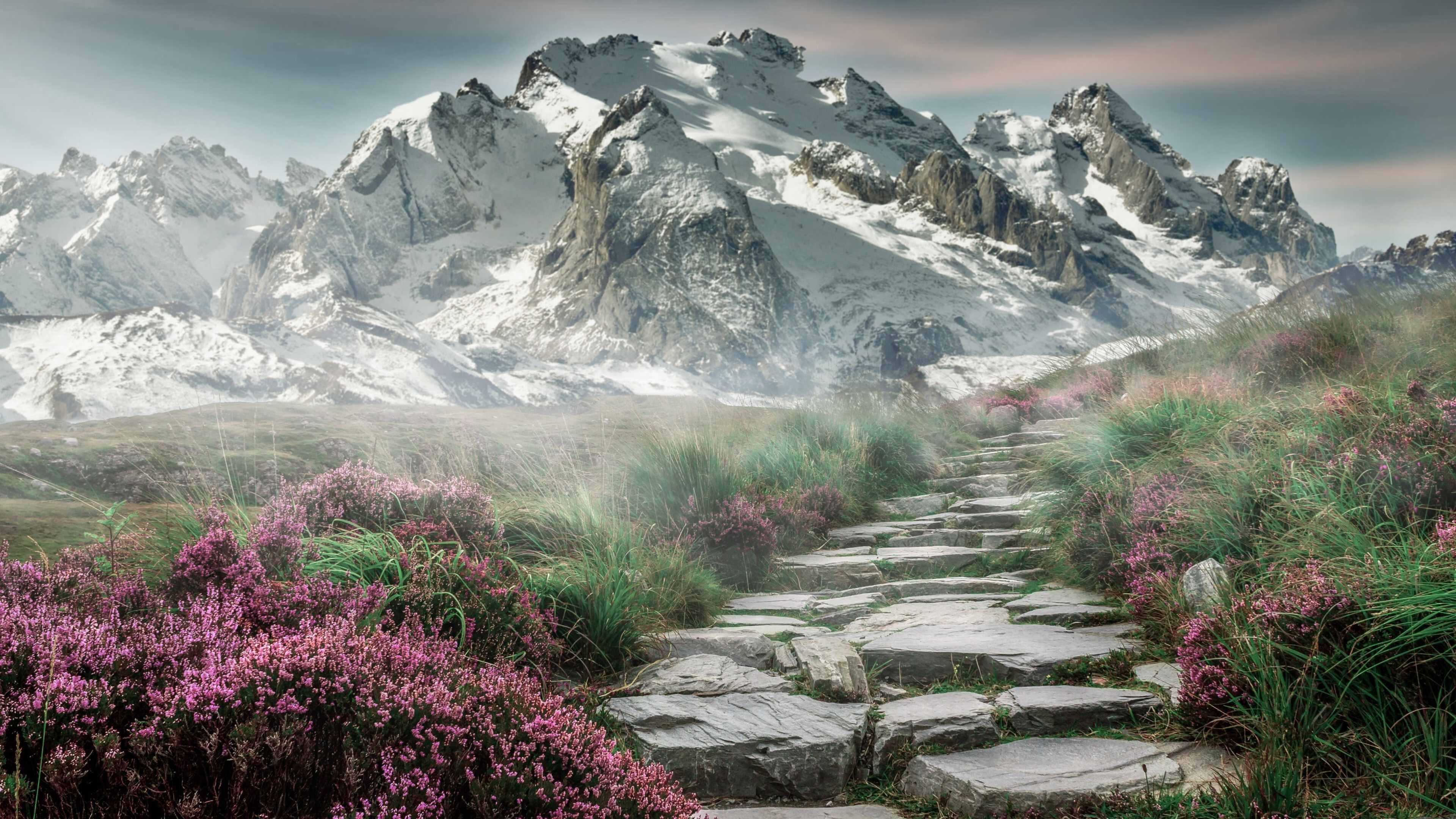 北境狂潮,猛龙的连续得分法则如何肢解了老鹰的天空之梦?