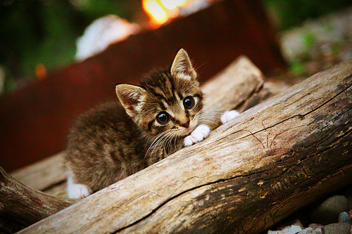 一球改变两种命运,从韩国翻盘希腊到门迪接管欧冠