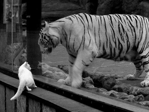 钢铁意志对决百万身价，塞维利亚的工匠精神如何肢解曼联的松散机器