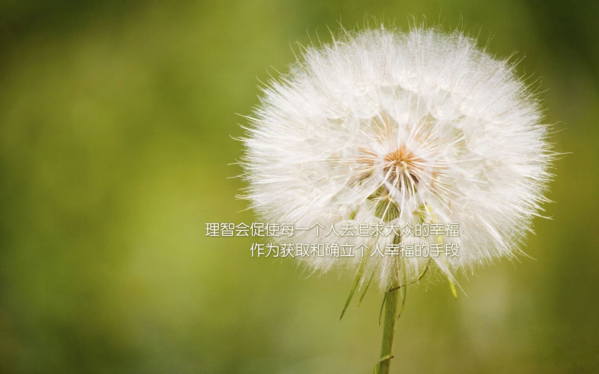 跨界对决,本泽马在国际米兰对阵南非的比赛中攻防两端统治全场