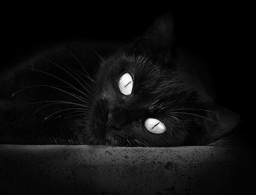 冰与火之歌，当智利冰川冻伤加拿大枫叶，北欧巨兽却在数据森林中烈焰奔腾