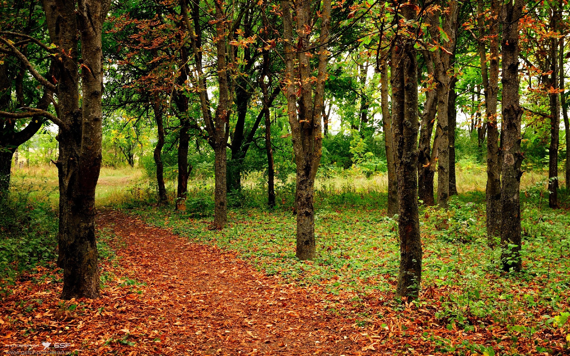 深渊与王座,当新疆绝处逢生遇见班凯罗英超称王
