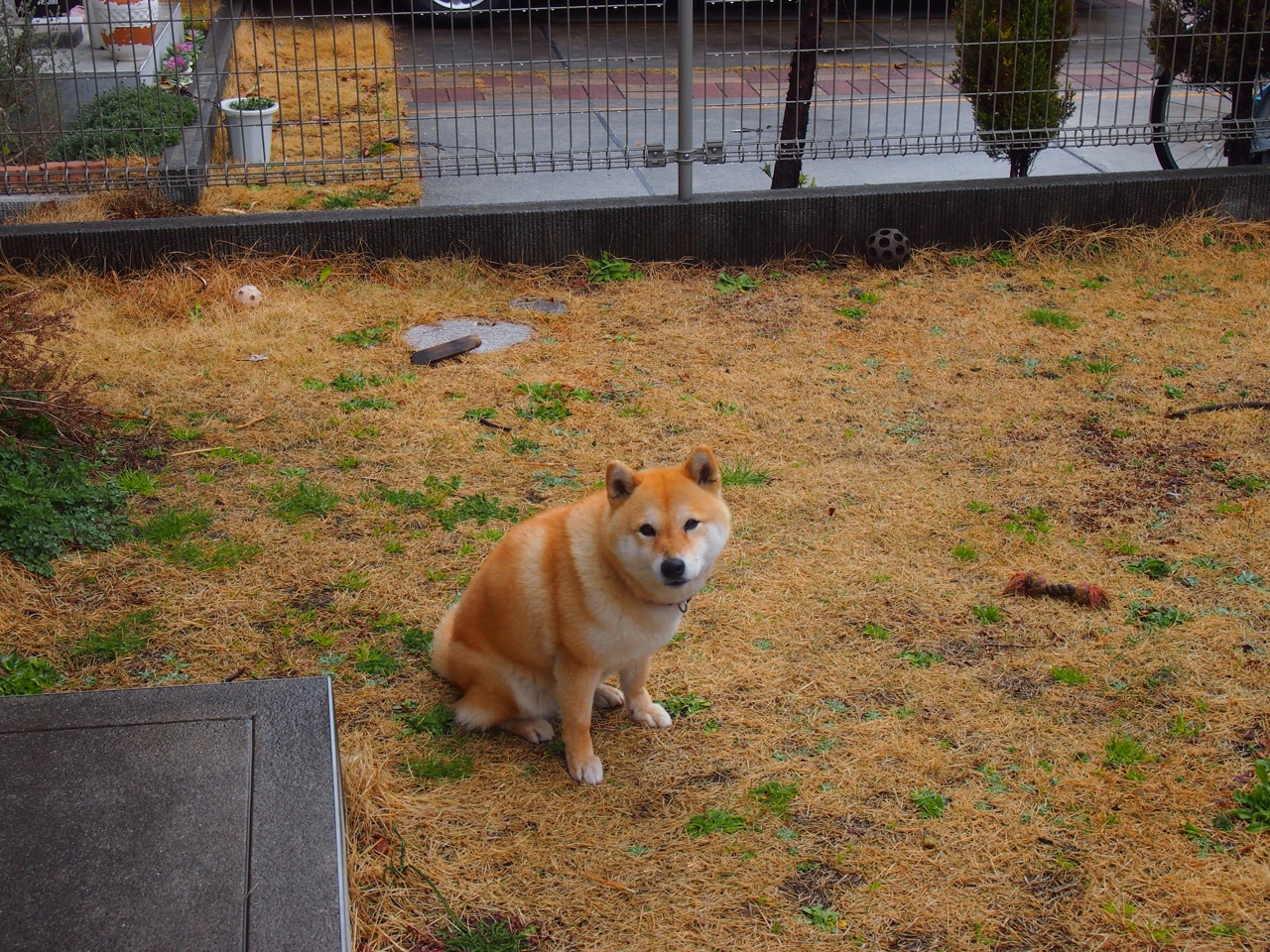 战术纪律的胜利，厄德高压制级表现如何颠覆强权，助巴拉圭加时力克罗马军团