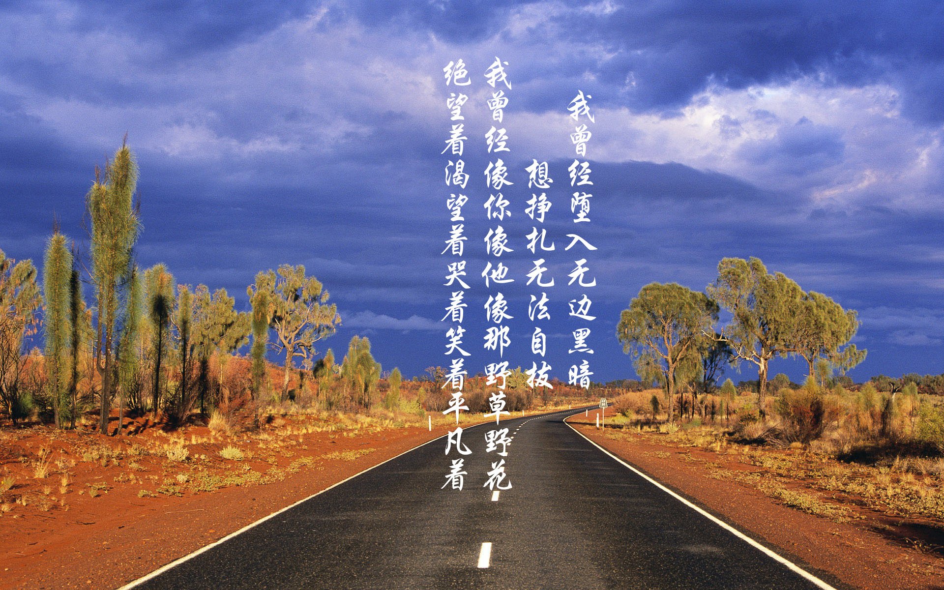 秩序的重建，范戴克的法则与勒沃库森的启示