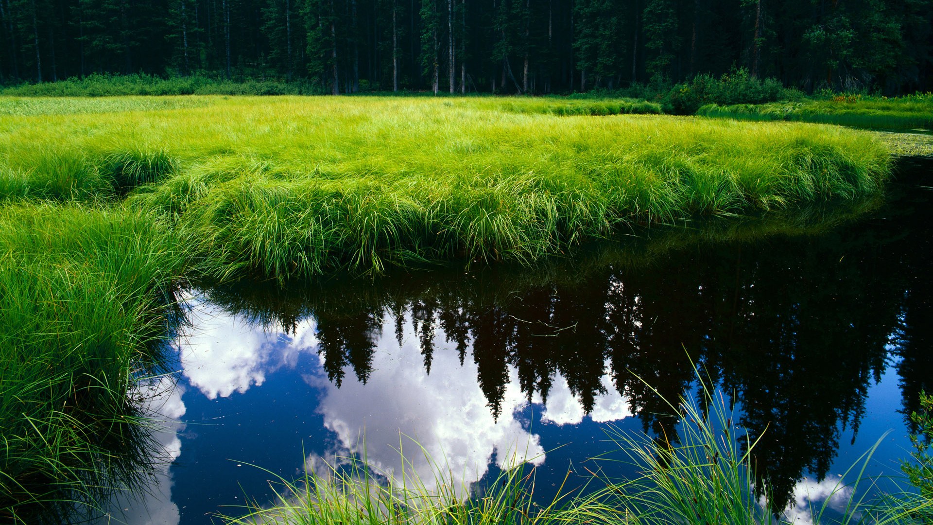 时光折叠处,詹姆斯如何让两个时代在芝加哥的风中相遇