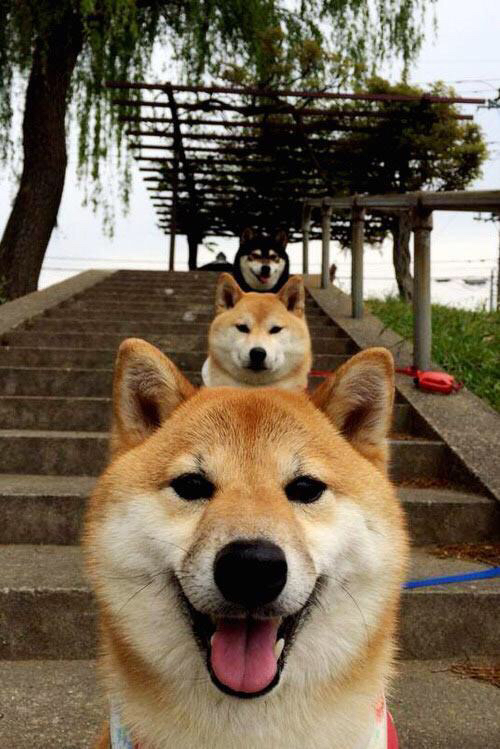 棋局与河流,当掌控成为一种哲学